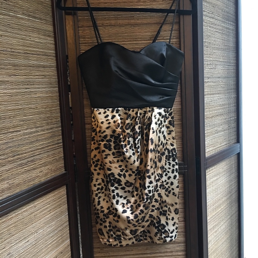 Leopard Print Dress